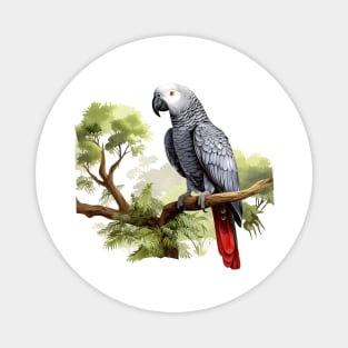 African Grey Parrot Magnet